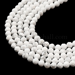 Natural Howlite Beads Strands&nbsp;X-G-E608-A01-B
