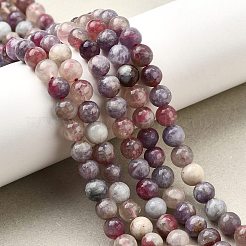 Natural Purple Red Tourmaline  Beads Strands&nbsp;G-N327-02A-01