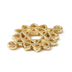 Alloy Connector Charms&nbsp;FIND-WH0144-45LG