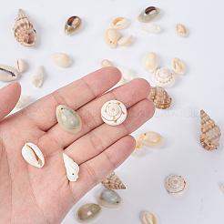 Trumpet Shell Beads&nbsp;BSHE-YW0001-03