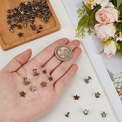 12 Bags 2 Colors Zinc Alloy Decorative Rivets&nbsp;FIND-FG0005-52A