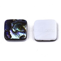 Natural Abalone Shell/Paua Shell Cabochons&nbsp;SSHEL-N034-75A-01