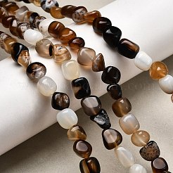 Natural Black Agate Bead Strands&nbsp;G-P070-34