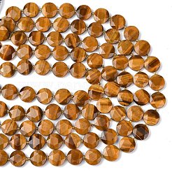Natural Tiger Eye Beads Strands&nbsp;G-L654-N02-01