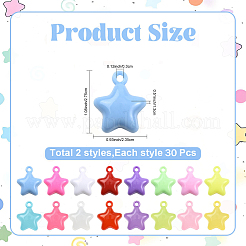 60Pcs 2 Styles Acrylic Pendants&nbsp;MACR-YW0004-75