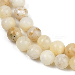 Natural Yellow Opal Beads Strands&nbsp;G-U026-A05-10mm