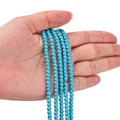 Synthetic Turquoise Beads Strands&nbsp;TURQ-G106-4mm-02F