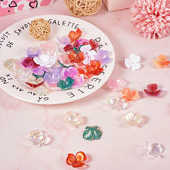 60Pcs 10 Colors Opaque Acrylic Bead Caps&nbsp;OACR-TA0002-61