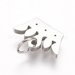 316 Surgical Stainless Steel Charms&nbsp;KK-I612-05P