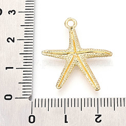 Alloy Pendants&nbsp;FIND-N010-12G