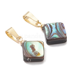 Abalone Shell/Paua Shell Pendants&nbsp;PALLOY-JF05264