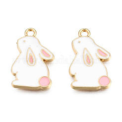 Alloy Pendants&nbsp;ENAM-S119-047