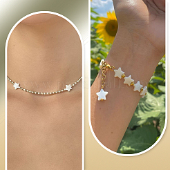 2 Strands Freshwater Shell Beads Strands&nbsp;SHEL-SC0001-86