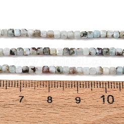 Natural Larimar Beads Strands&nbsp;GG-CBAD288-A01-01