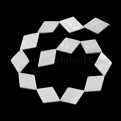 Natural Freshwater Shell Beads Strands&nbsp;SHEL-A004-02