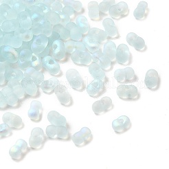 Glass Frosted Seed Beads&nbsp;LS-SEED-NH0002-01D