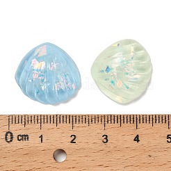 Transparent Resin Cabochon&nbsp;CRES-I047-01B