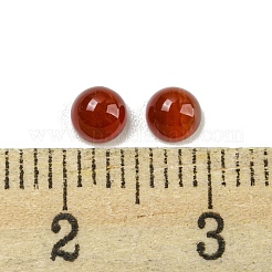 Natural Red Agate Cabochons&nbsp;G-H309-03-43