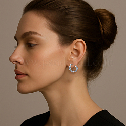 4 Pairs 2 Colors Zinc Alloy Hoop Earrings&nbsp;EJEW-GO0003-03