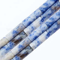 2 Strands Natural Blue Spot Jasper Beads Strands&nbsp;G-OC0001-87