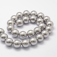 Shell Pearl Beads Strands&nbsp;BSHE-L026-05-10mm