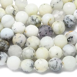 Natural White African Opal Beads Strands&nbsp;G-B165-A12-8mm