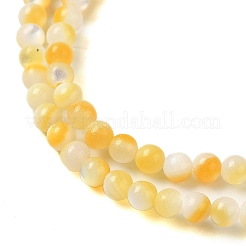 Natural Yellow Shell Beads Strands&nbsp;SHEL-M021-03A