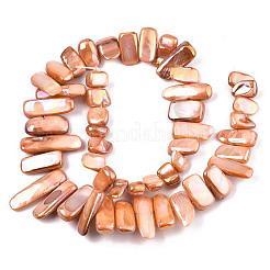 Natural Freshwater Shell Beads Strands&nbsp;SHEL-N026-123D