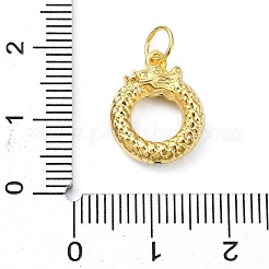 990 Sterling Silver Dragon Charms with Jump Rings&nbsp;STER-M119-07A-G