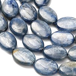 Natural Kyanite Beads Strands&nbsp;G-H335-D01-10x14mm