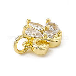 Brass Micro Pave Cubic Zirconia Charms&nbsp;ZIRC-F132-09G