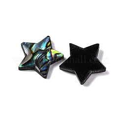 Natural Paua Shell Epoxy Resin Cabochons&nbsp;SSHEL-S279-01F