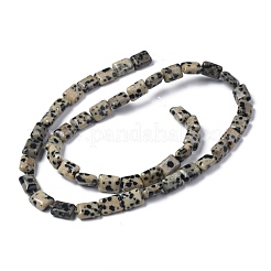 Natural Dalmatian Jasper Beads Strands&nbsp;G-Z006-B08