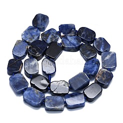 Natural Sodalite Beads Strands&nbsp;G-K245-J15-01