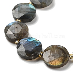 Natural Labradorite Beads Strands&nbsp;G-C116-A164-03