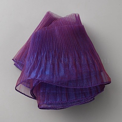 Ruffled Polyester Ribbons&nbsp;SRIB-WH0011-415A