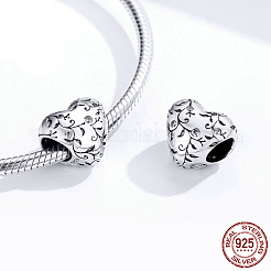 925 Sterling Silver Euorpean Beads&nbsp;STER-FF0012-02AS