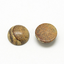 Natural Picture Jasper Cabochons&nbsp;G-R416-20mm-42