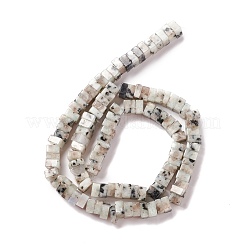 Natural Sesame Jasper/Kiwi Jasper Beads Strands&nbsp;G-K326-13