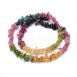 Natural Multicolor Tourmaline Beads Strands&nbsp;G-P332-73C