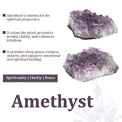 Natural Amethyst Cluster Ornaments&nbsp;DJEW-PA0001-07