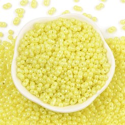 Baking Paint Glass Seed Beads&nbsp;SEED-L011-09A-20
