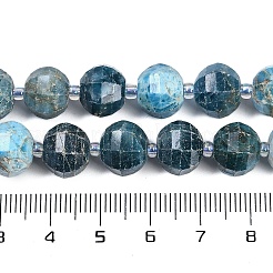 Natural Apatite Beads Strands&nbsp;G-G182-B42-06