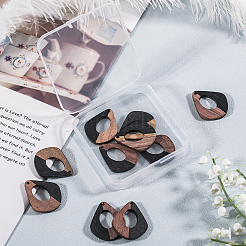 Resin & Wood Pendants&nbsp;RESI-OL0001-08A