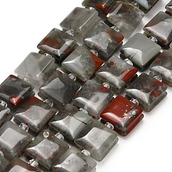 Natural African Bloodstone Beads Strands&nbsp;GG-F802-B17-01
