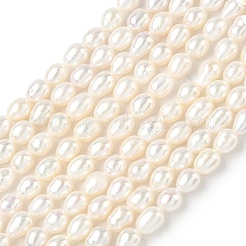 Natural Cultured Freshwater Pearl Beads Strands&nbsp;PEAR-C004-03