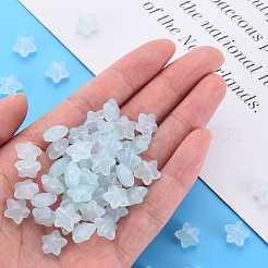 Transparent Acrylic Beads&nbsp;MACR-S373-26E-07