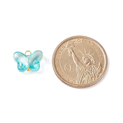 Transparent Glass Charms&nbsp;PALLOY-JF01734