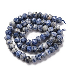 Natural Blue Spot Jasper Beads Strands&nbsp;G-K380-A02-01