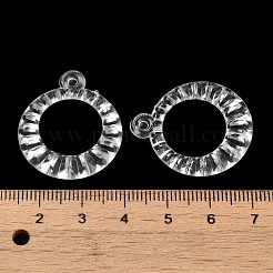 Transparent Acrylic Pendants&nbsp;TACR-G048-19